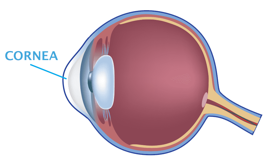 Cornea assessment