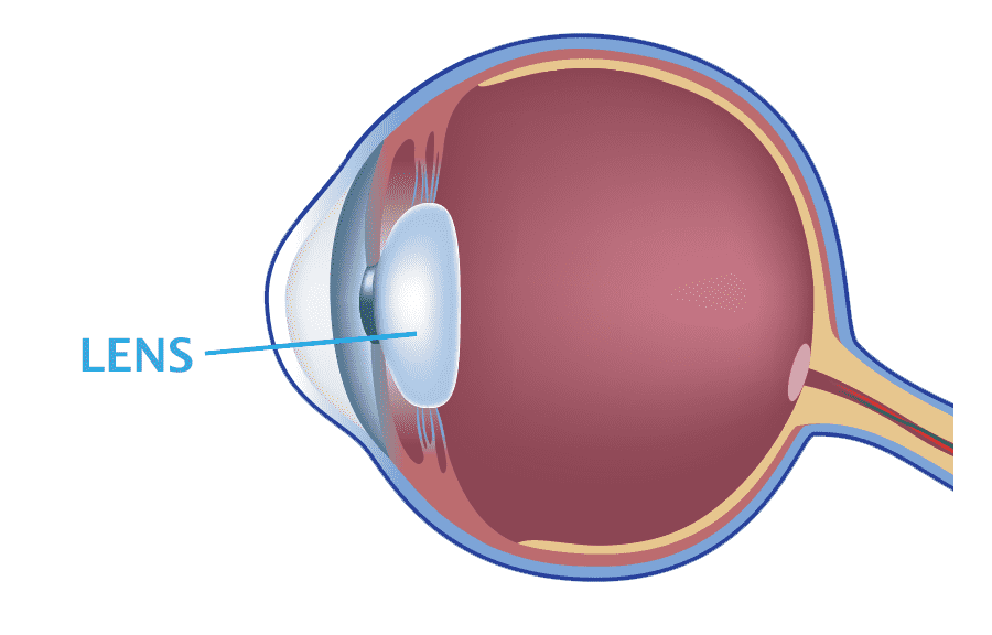 Crystalline Lens inspection